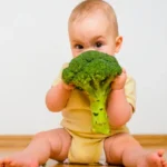 RECEITAS PARA BEBÊS DE 6 A 12 MESES